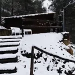 Bosco Paradiso *