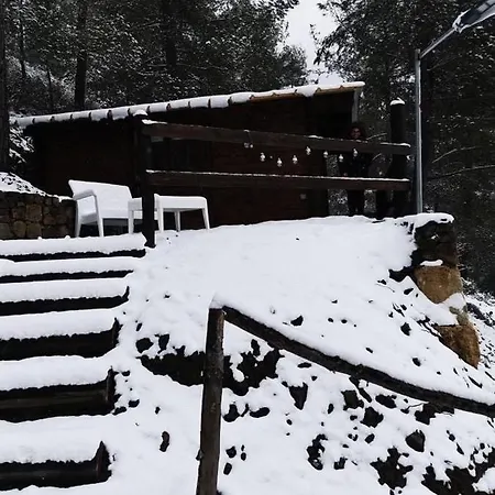 Bosco Paradiso *