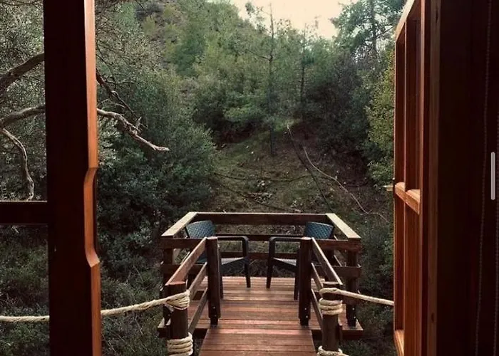 Κάμπινγκ Bosco Paradiso Λεμεσός