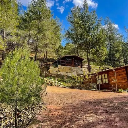 Κάμπινγκ Bosco Paradiso Λεμεσός